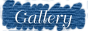 b_sb_gallery.gif