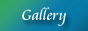 btn_h_gal.jpg