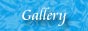 btn_p_gal.jpg